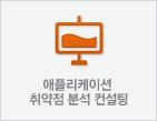 애플리케이션 취약점 분석 컨설팅